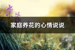 家庭养花的心情说说(通用60句)