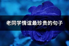 老同学情谊最珍贵的句子(共61句)