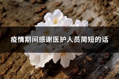 疫情期间感谢医护人员简短的话(必备61句)