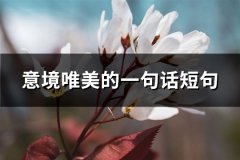 意境唯美的一句话短句(必备60句)