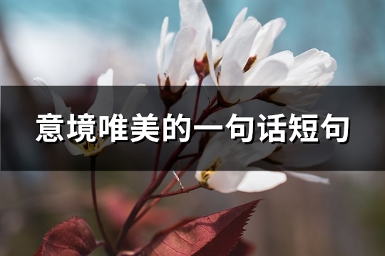 意境唯美的一句话短句(必备60句)
