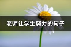 老师让学生努力的句子(推荐67句)