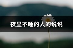 夜里不睡的人的说说(45句)
