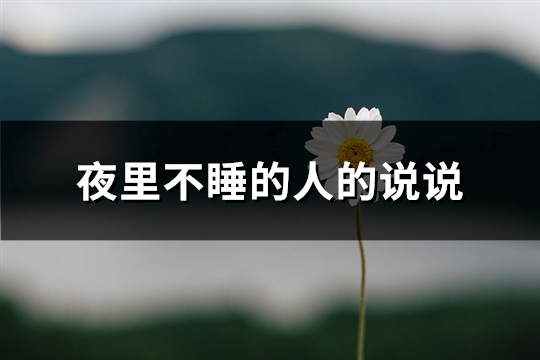 夜里不睡的人的说说(45句)