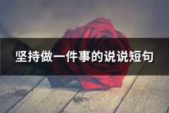 坚持做一件事的说说短句(热门64句)