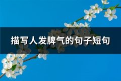 描写人发脾气的句子短句(必备89句)