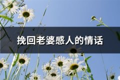 挽回老婆感人的情话(115句)