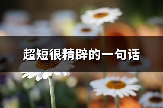 超短很精辟的一句话(必备60句)