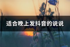 适合晚上发抖音的说说(精选87句)