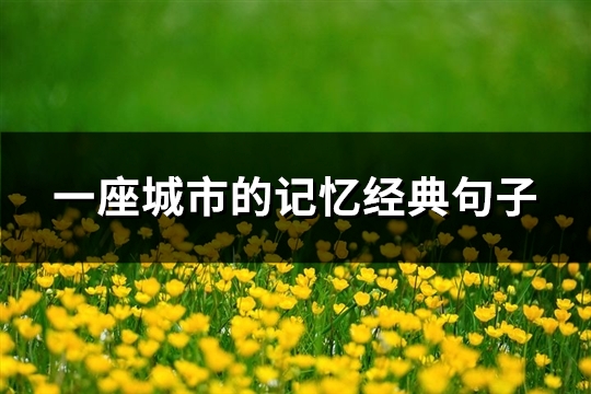 一座城市的记忆经典句子(精选74句)