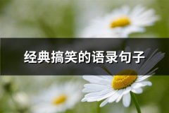 经典搞笑的语录句子(必备92句)