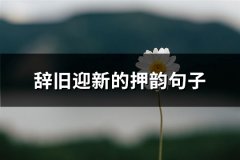 辞旧迎新的押韵句子(84句)