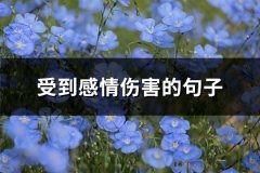 受到感情伤害的句子(通用67句)