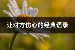 让对方伤心的经典语录(精选86句)