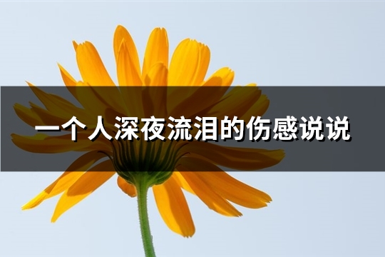 一个人深夜流泪的伤感说说(精选63句)