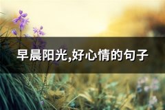 早晨阳光,好心情的句子(共93句)