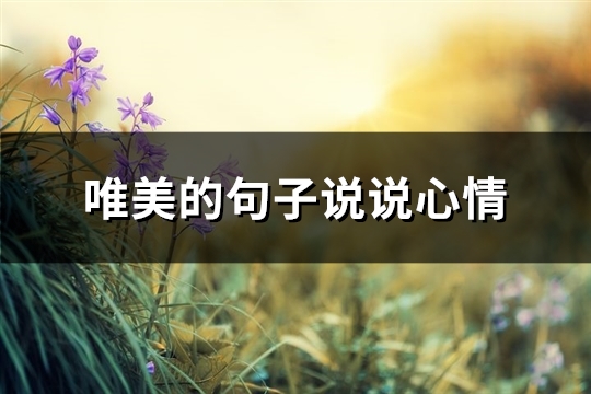 唯美的句子说说心情(72句)