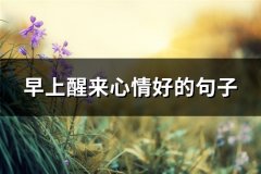 早上醒来心情好的句子(通用77句)