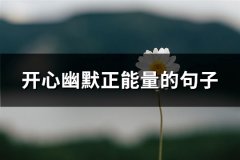 开心幽默正能量的句子(优选176句)