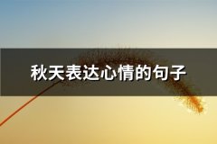 秋天表达心情的句子(共64句)