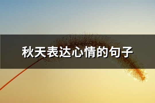 秋天表达心情的句子(共64句)
