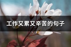 工作又累又辛苦的句子(推荐62句)