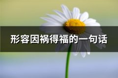 形容因祸得福的一句话(汇总74句)