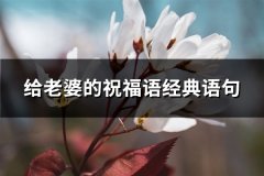 给老婆的祝福语经典语句(65句)