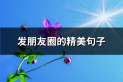 发朋友圈的精美句子(汇总77句)