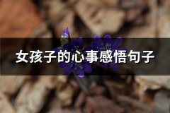 女孩子的心事感悟句子(热门140句)