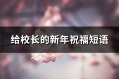 给校长的新年祝福短语(推荐67句)