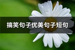 搞笑句子优美句子短句(238句)
