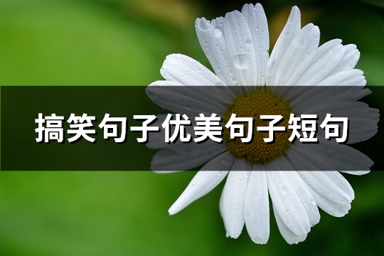 搞笑句子优美句子短句(238句)