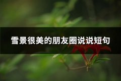 雪景很美的朋友圈说说短句(实用69句)