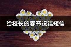 给校长的春节祝福短信(实用78句)