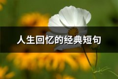 人生回忆的经典短句(热门66句)