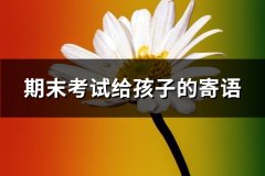 期末考试给孩子的寄语(42句)