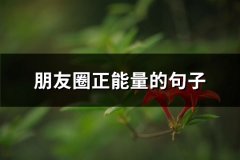 朋友圈正能量的句子(热门81句)