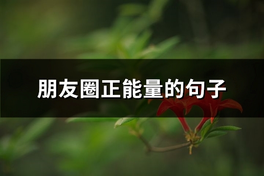 朋友圈正能量的句子(热门81句) 朋友圈正能量的句子(热门81句)