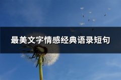 最美文字情感经典语录短句(优选75句)