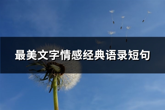 最美文字情感经典语录短句(优选75句)