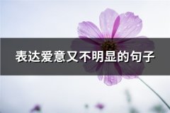 表达爱意又不明显的句子(共49句)