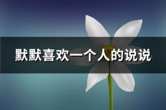 默默喜欢一个人的说说(优选64句)