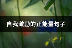 自我激励的正能量句子(必备61句)