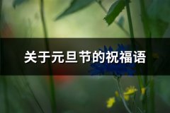 关于元旦节的祝福语(热门203句)