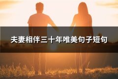 夫妻相伴三十年唯美句子短句(共60句)