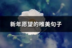 新年愿望的唯美句子(热门68句)