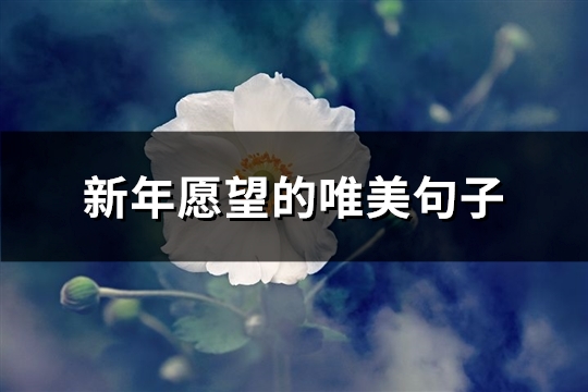 新年愿望的唯美句子(热门68句)