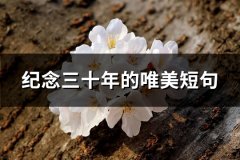 纪念三十年的唯美短句(热门52句)