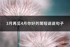 3月再见4月你好的简短说说句子(必备70句)